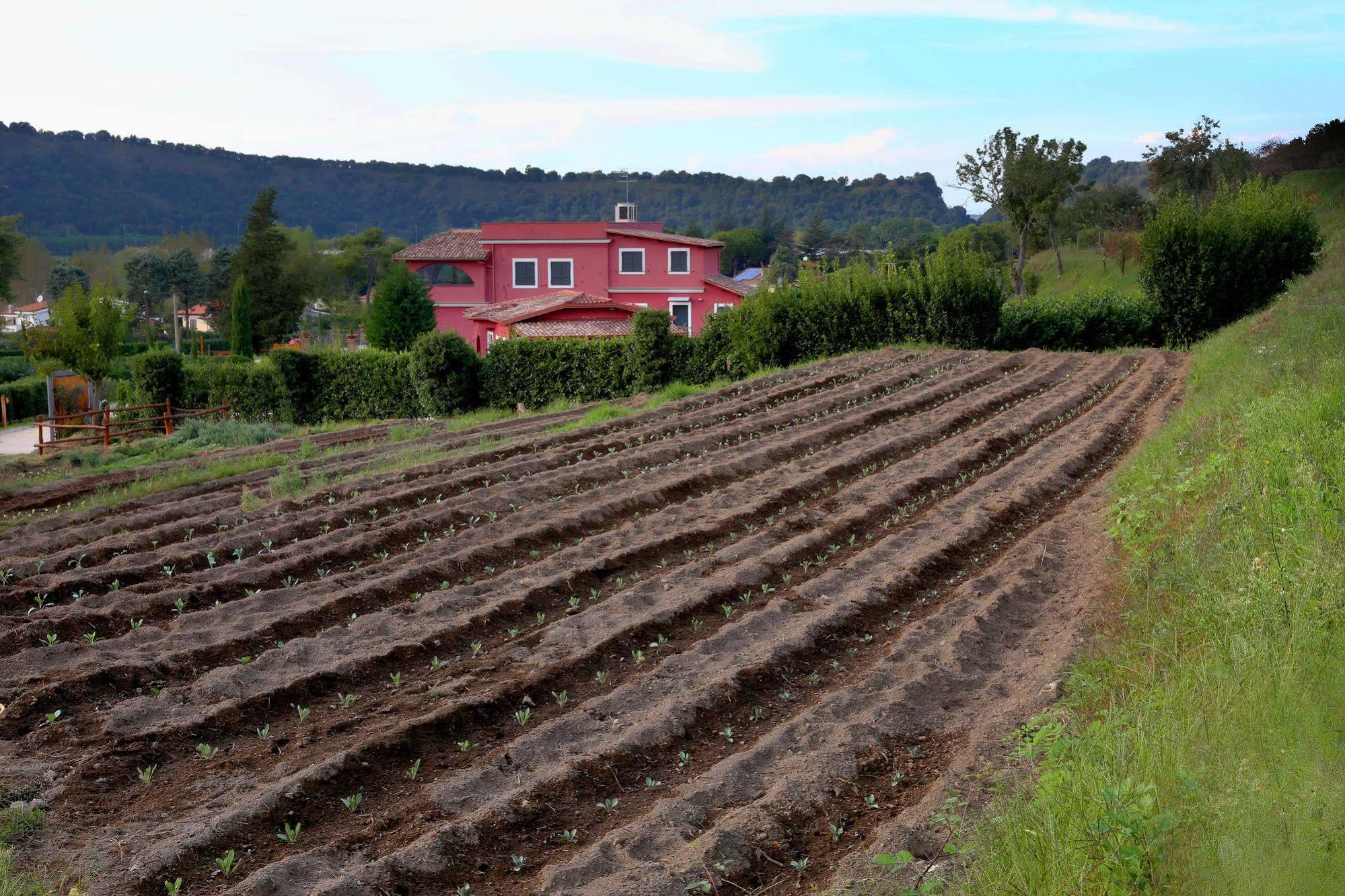 Agriturismo San Martino Pozzuoli Exteriör bild